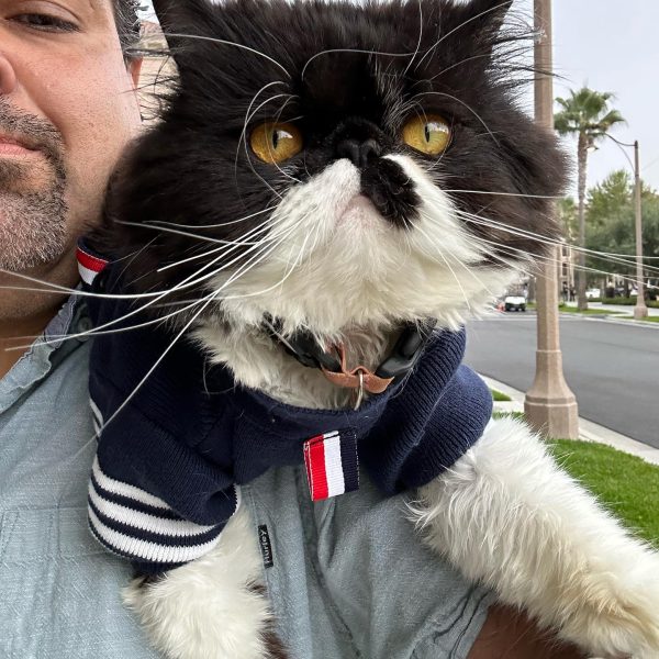 481135386_1075529844588261_6282997552875289250_n