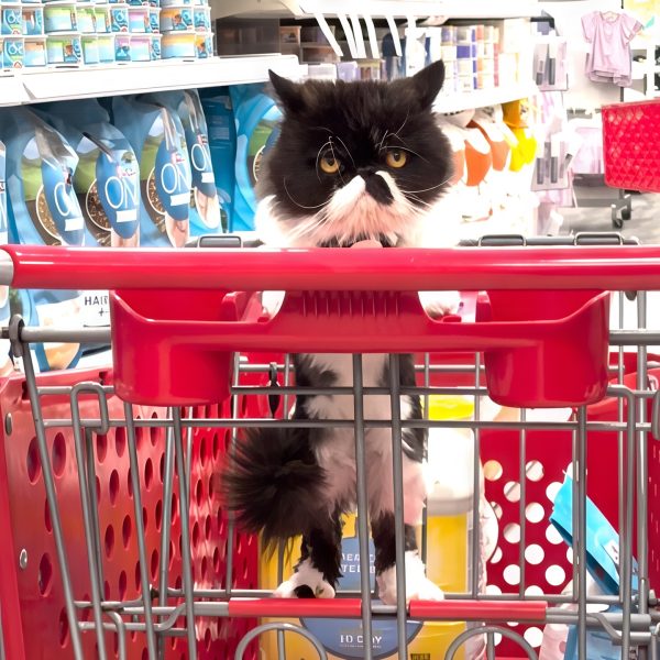 500777960_18010116719685539_621684143806928627_n