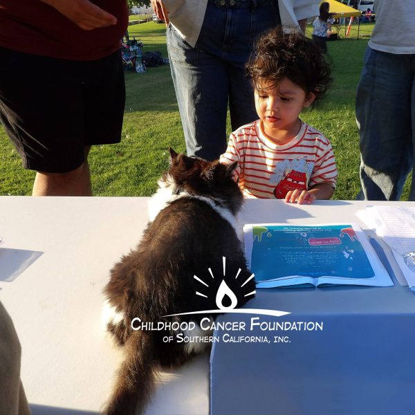 Cyrus the Persian Cat at Childhood Cancer Foundation Event